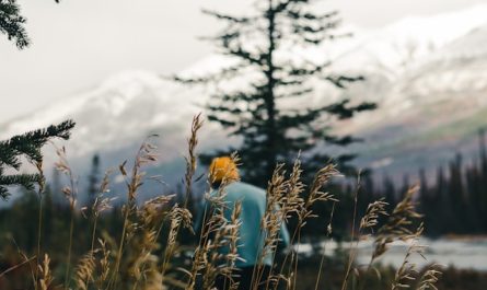 Parc national Pacific Rim