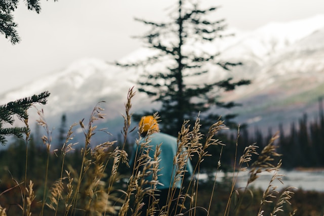 Parc national Pacific Rim