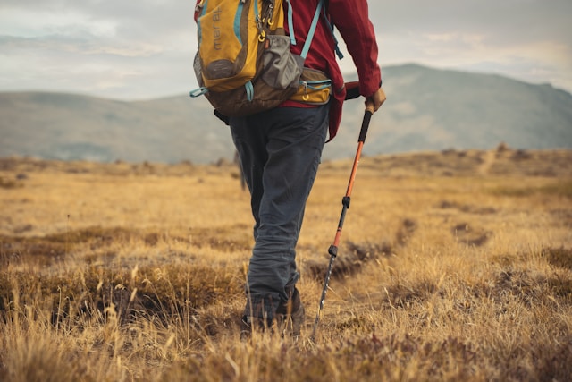 Les bienfaits de la marche nordique en vacances