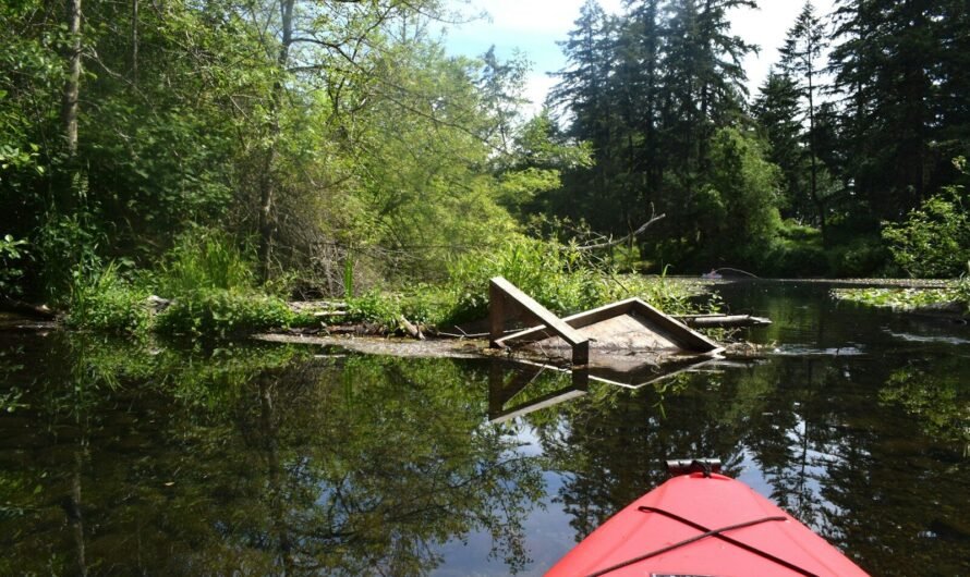 Camping avec parc aquatique : les destinations incontournables